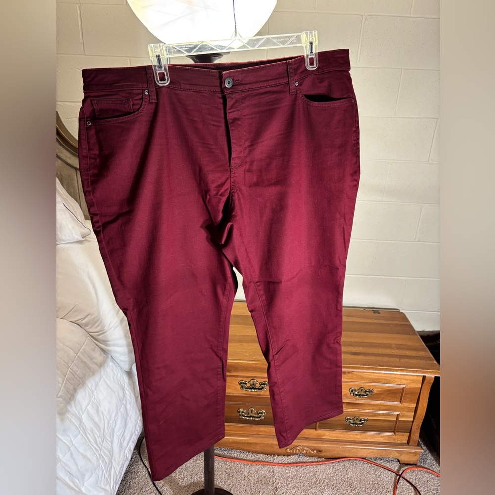 Plus Size Burgundy Pants - Short